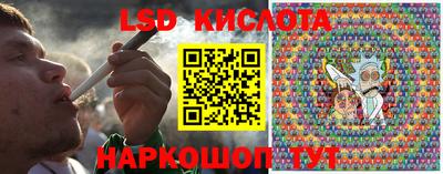 PSILOCYBIN Дубна