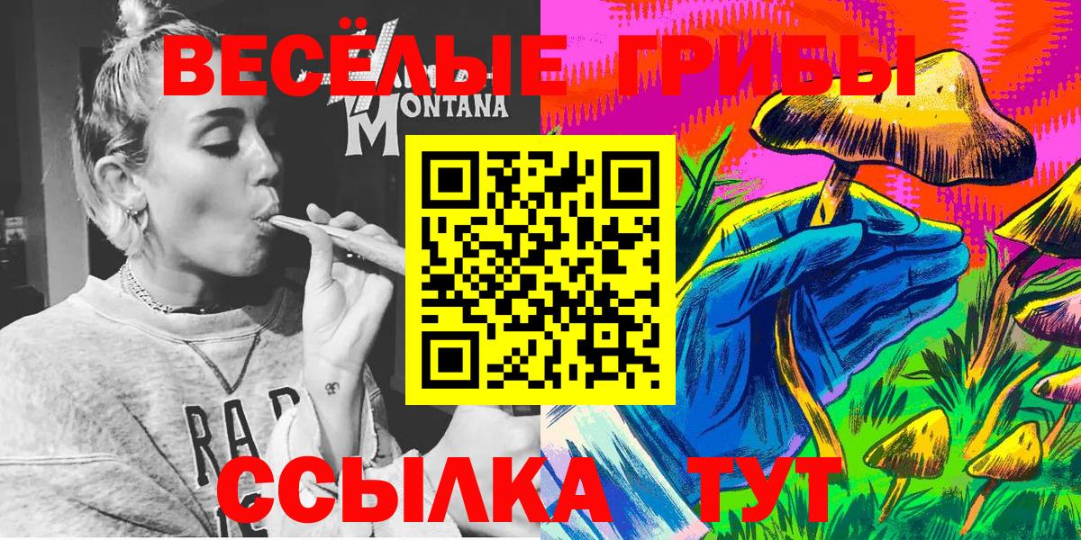 Миасс  Галлюциногенные грибы Psilocybe  Псилоцибиновые грибы Cubensis  Вход с VPN 